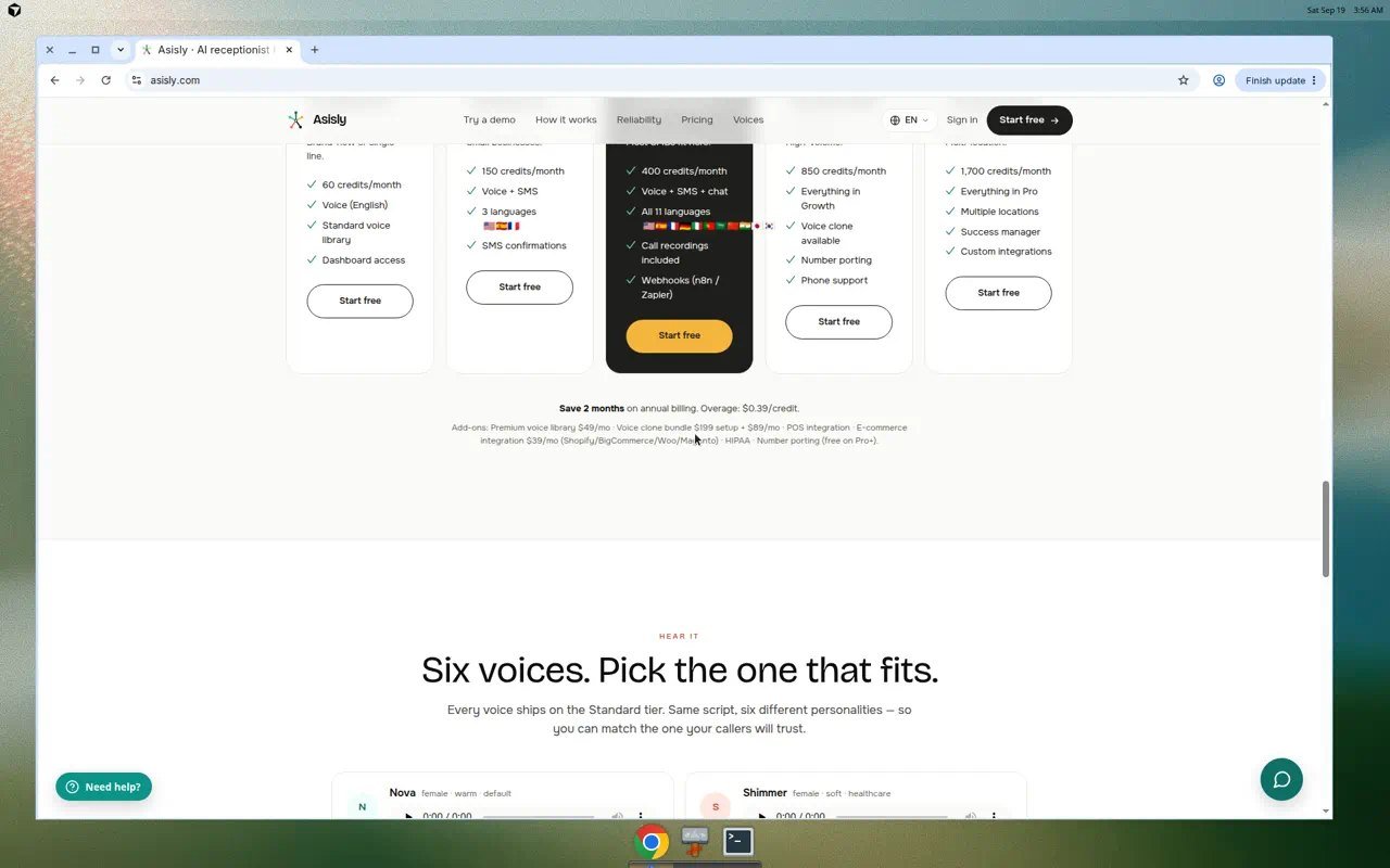 Asisly plan cards showing voice, SMS, chat, and webhook features